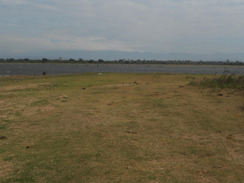 splendid lake view safari lodge Udawalawe Eksteriør billede