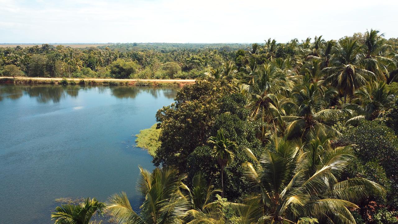 splendid lake view safari lodge Udawalawe Eksteriør billede